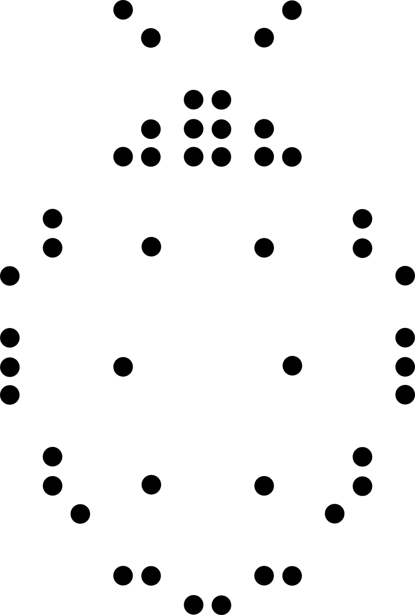 Braillebild Marienkäfer