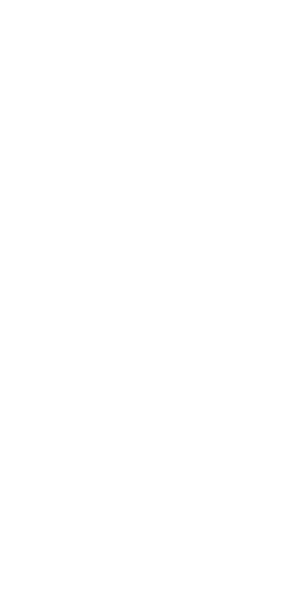 Braillebild Blume 2