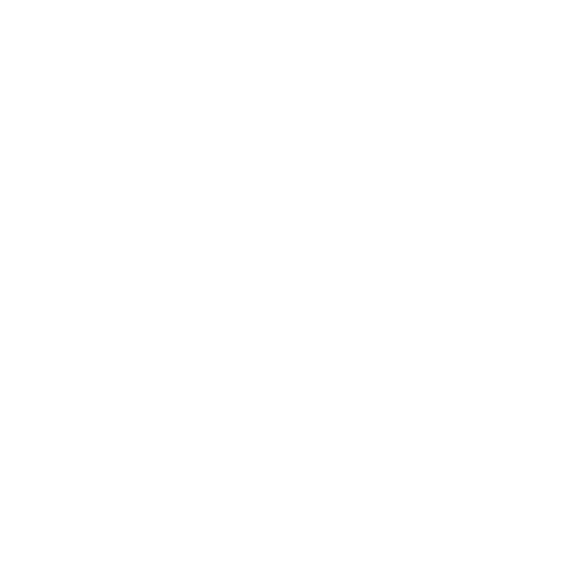 Braillebild Flugzeug 2