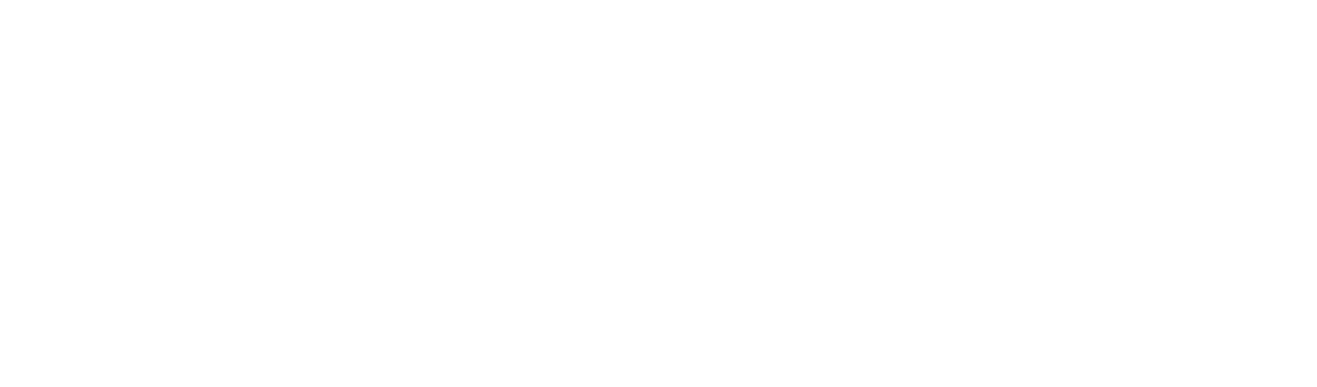 Braillebild Bus