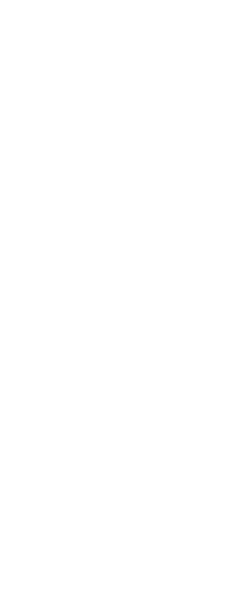 Braillebild Gitarre