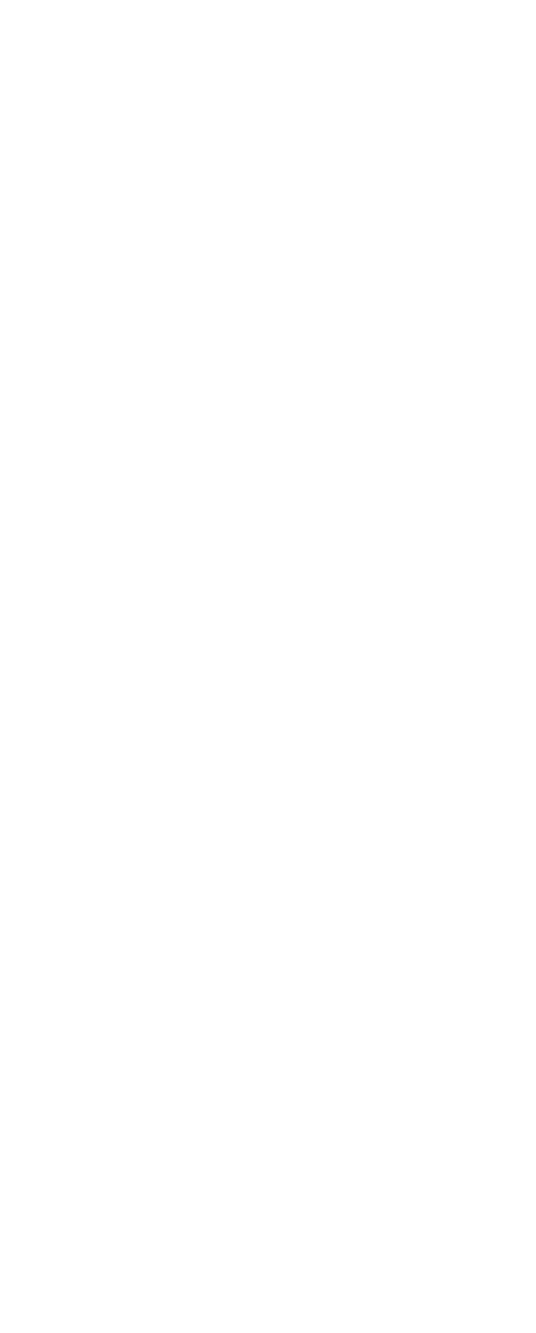 Braillebild Nussknacker
